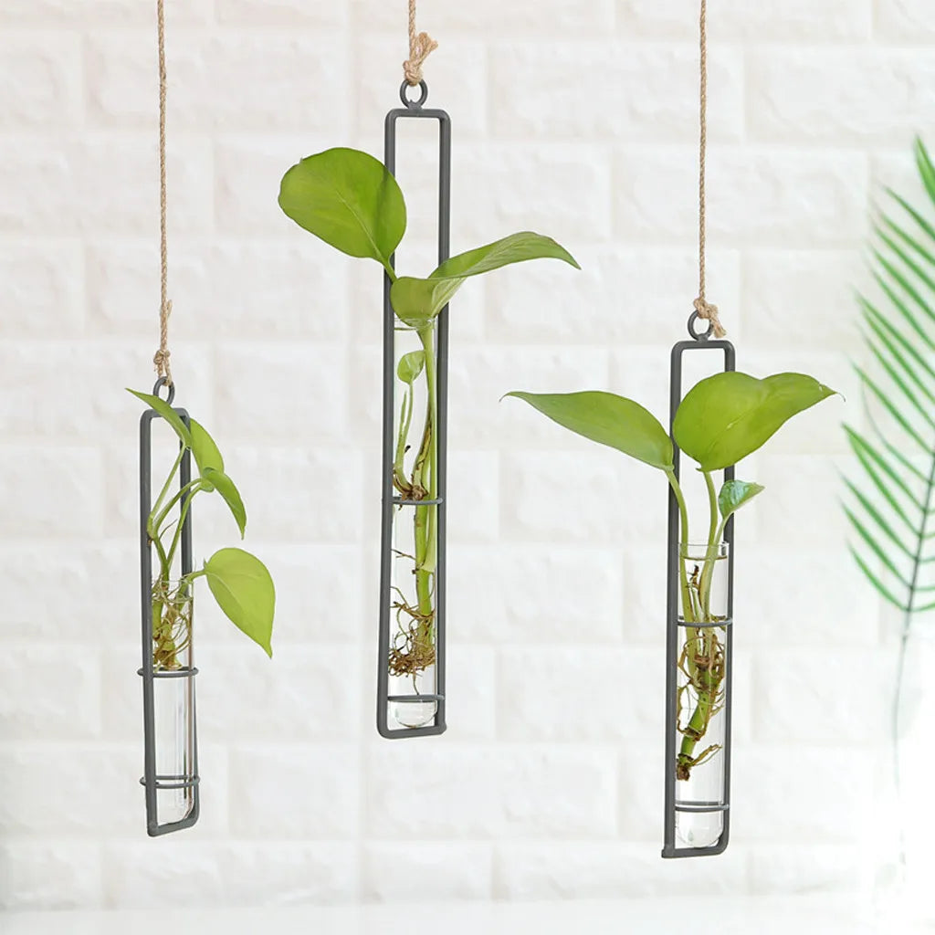 Nordic Hanging Glass Test Tube Vases | Wall-Mounted Flower Holders | Air Plant & Hydroponic Decor