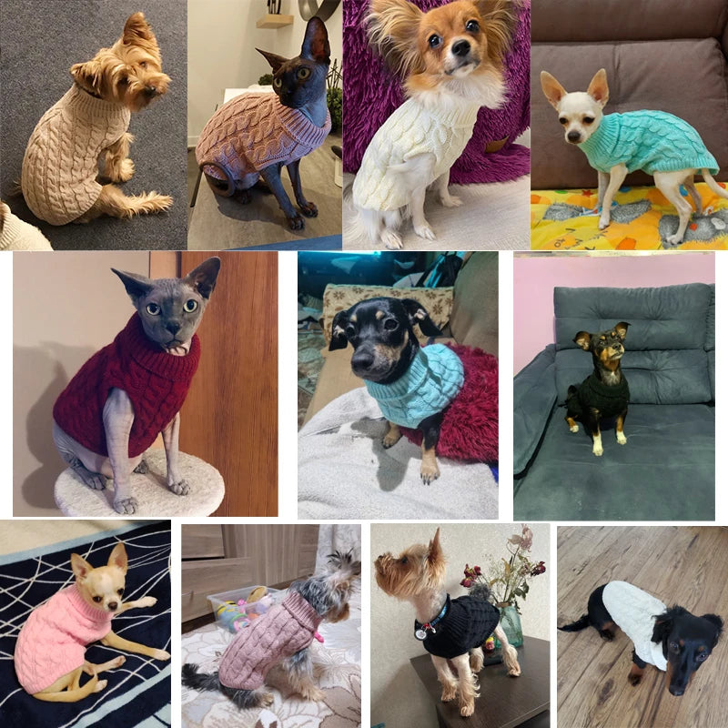 Dog Sweaters for Small Dogs - Winter Warm Turtleneck Knitted Pet Sweater Vest for Chihuahua, Yorkie, and Cats