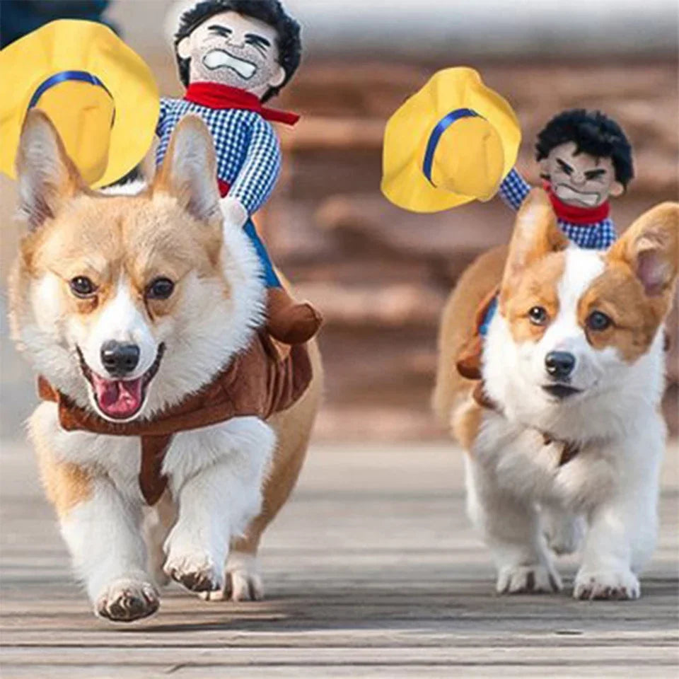 NONOR Cowboy Dog Costume – Funny Party Dress-Up Outfit for Dogs