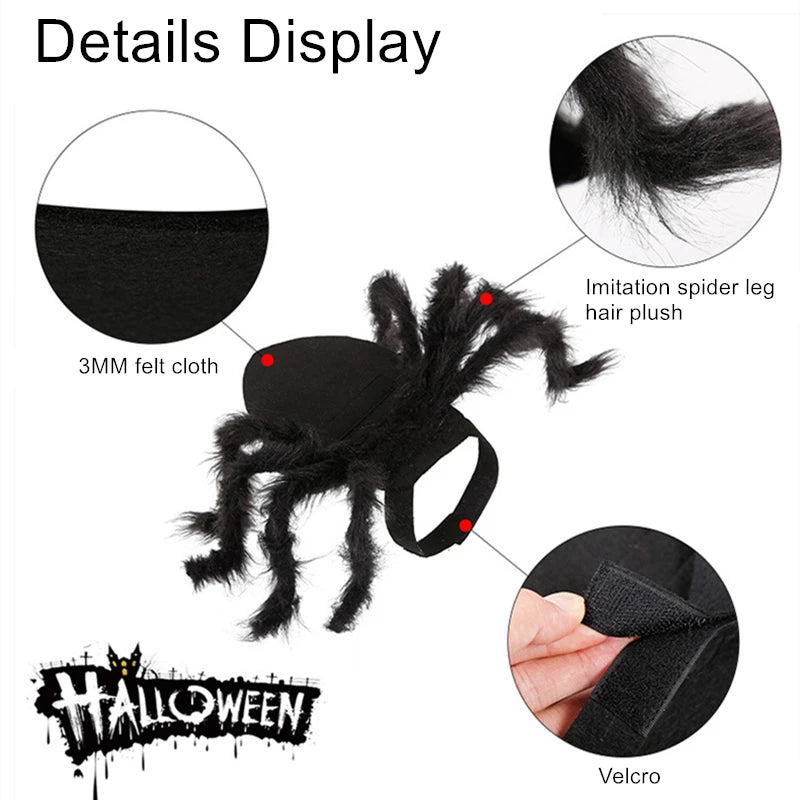 Spooky Halloween Spider Costume for Dogs & Cats