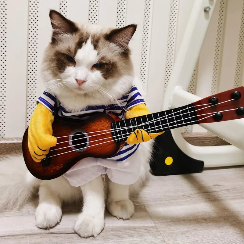 Cat playing guitar costume best sale