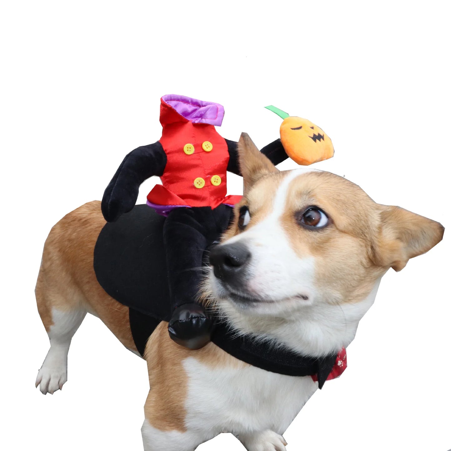 Funny Halloween Dog Costume – Headless Man Ride-On for Dogs