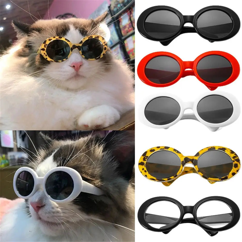 Stylish Pet Sunglasses – Round Frames for Dogs & Cats, Perfect for Photoshoots & Fashion!