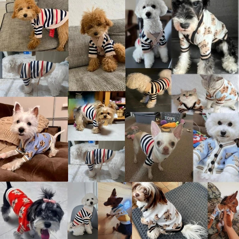 Warm Knitted Pet Sweater – Stylish Striped Cardigan for Small Dogs and Cats!