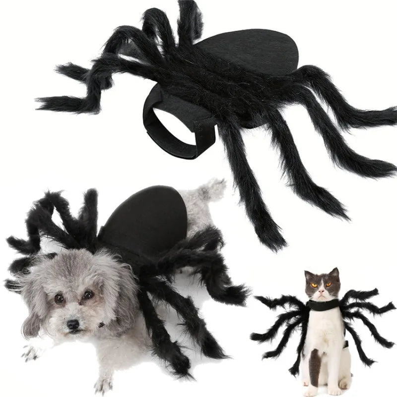 Spooky Halloween Spider Costume for Dogs & Cats