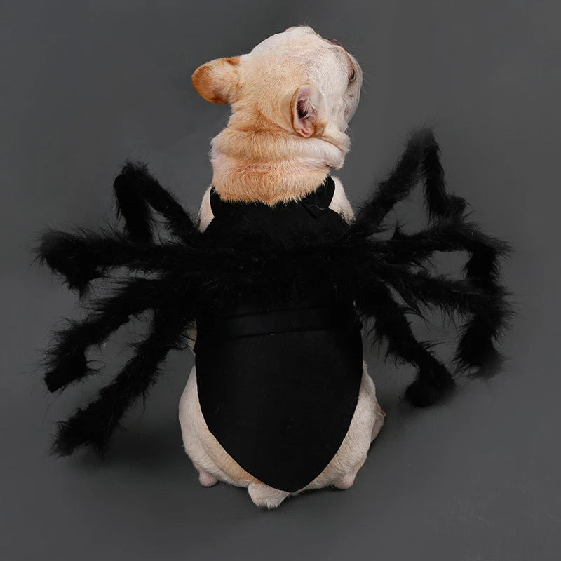 Spooky Halloween Spider Costume for Dogs & Cats