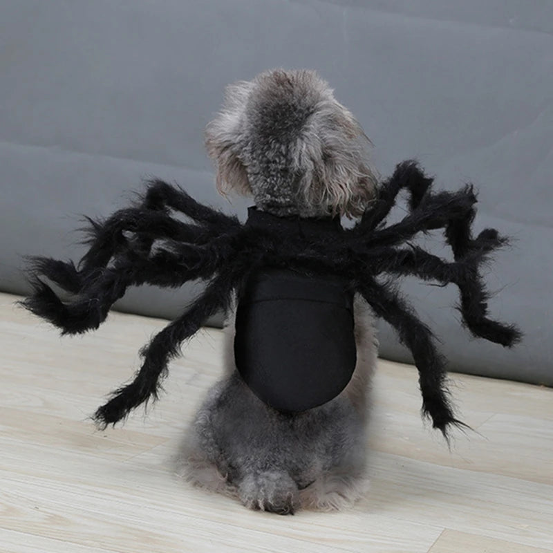 Spooky Halloween Spider Costume for Dogs & Cats