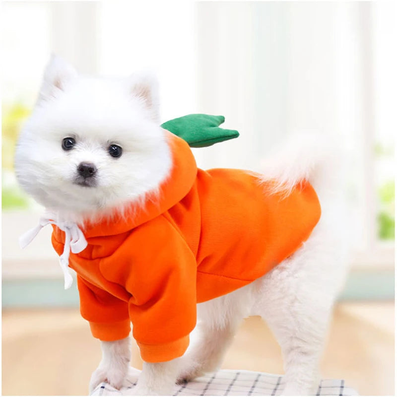 Cosplay Pet Hoodies | Dog Coat Jacket for Small Dogs | Cute Cat Costumes | Chihuahua & Yorkie Clothing