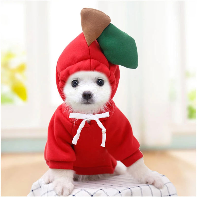 Cosplay Pet Hoodies | Dog Coat Jacket for Small Dogs | Cute Cat Costumes | Chihuahua & Yorkie Clothing