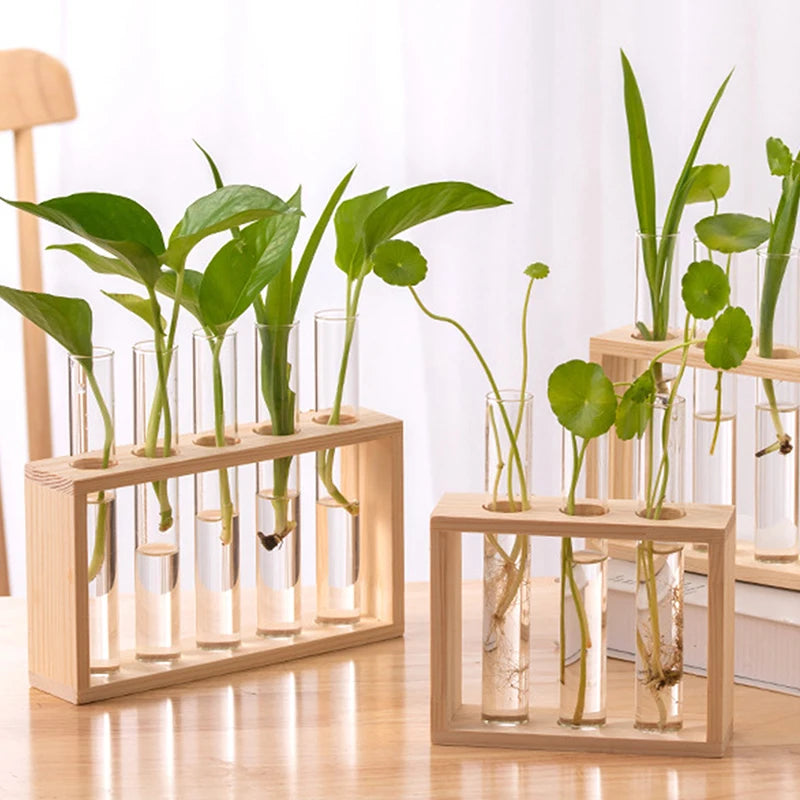 1 Set Hydroponic Plant Glass Test Tube Vase with Wooden Frame – Perfect for Desktop, Home, or Office Decor