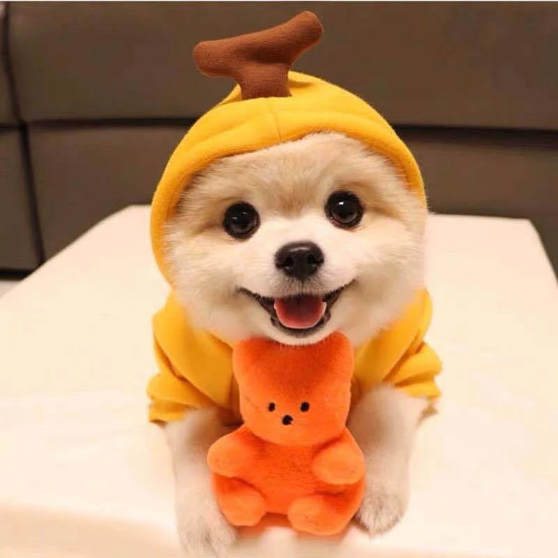 Cosplay Pet Hoodies | Dog Coat Jacket for Small Dogs | Cute Cat Costumes | Chihuahua & Yorkie Clothing