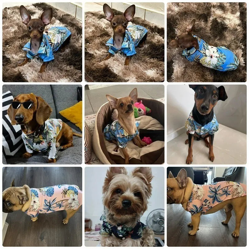 Hawaiian Beach Style Dog Shirt - Summer Clothing for Small to Medium Pets | Teddy, French Bulldog, Cat | Stylish Pet Jacket