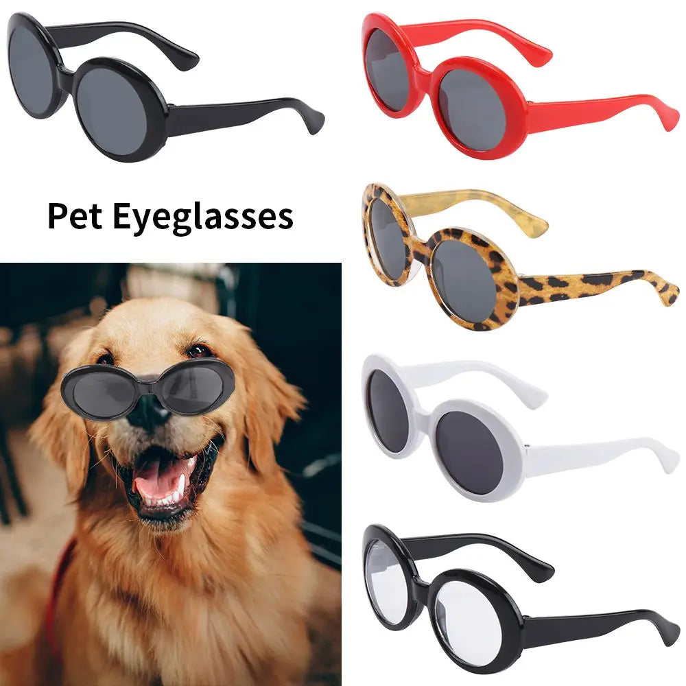 Stylish Pet Sunglasses – Round Frames for Dogs & Cats, Perfect for Photoshoots & Fashion!