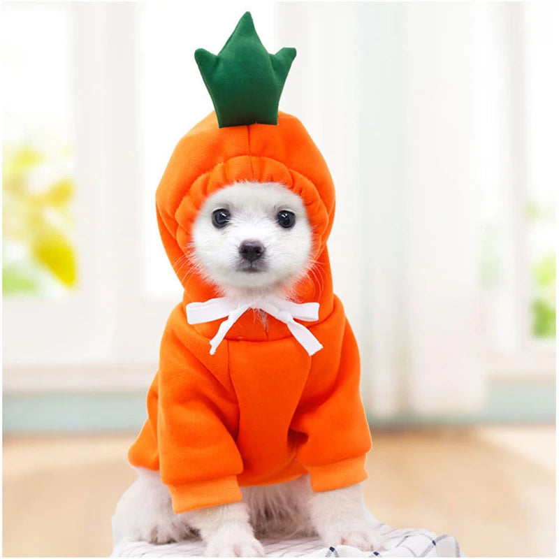 Cosplay Pet Hoodies | Dog Coat Jacket for Small Dogs | Cute Cat Costumes | Chihuahua & Yorkie Clothing