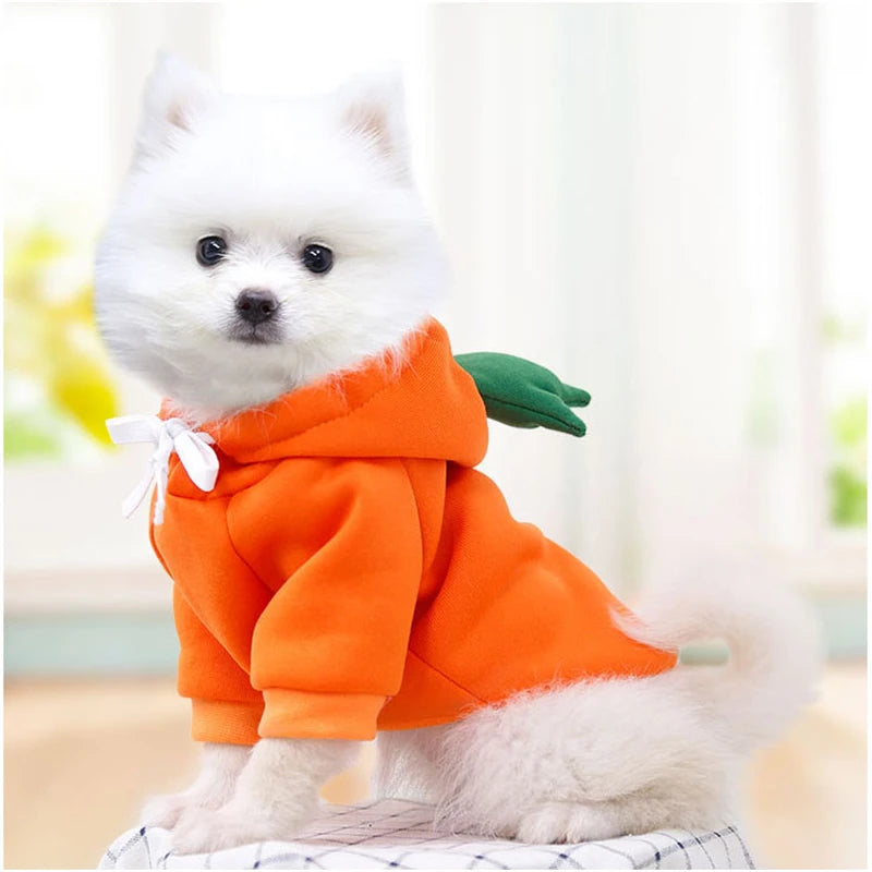 Cosplay Pet Hoodies | Dog Coat Jacket for Small Dogs | Cute Cat Costumes | Chihuahua & Yorkie Clothing