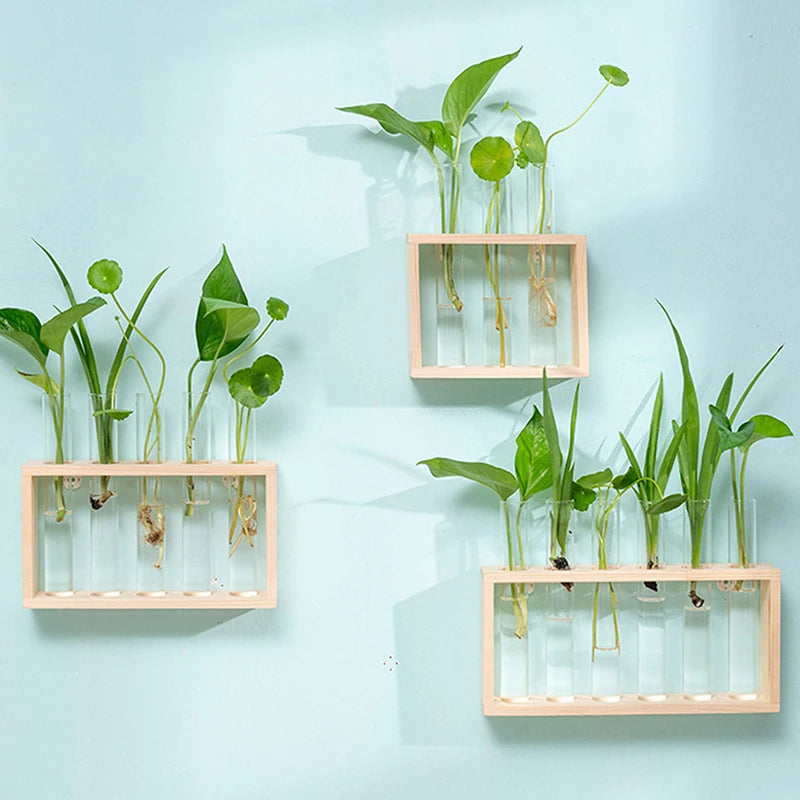 1 Set Hydroponic Plant Glass Test Tube Vase with Wooden Frame – Perfect for Desktop, Home, or Office Decor