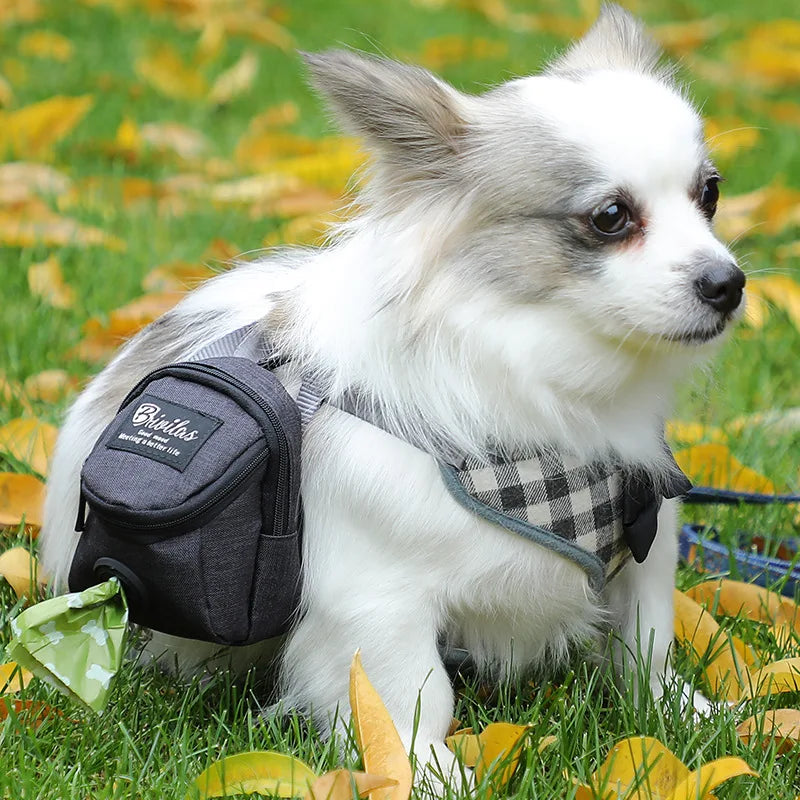 Multifunction Dog Training Pouch – Treat Holder & Poop Bag Dispenser for Outdoor Adventures!