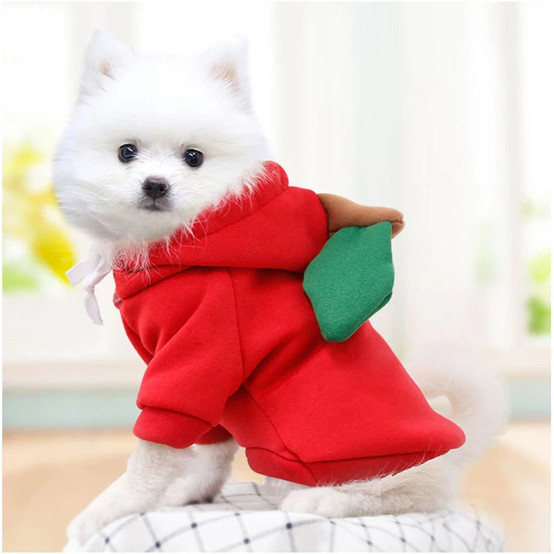 Cosplay Pet Hoodies | Dog Coat Jacket for Small Dogs | Cute Cat Costumes | Chihuahua & Yorkie Clothing