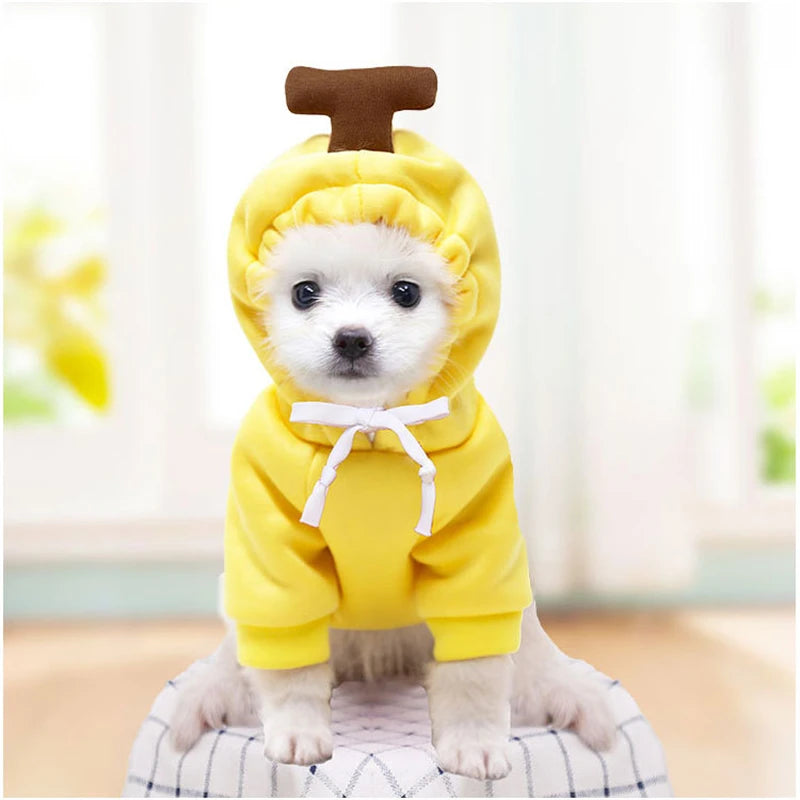 Cosplay Pet Hoodies | Dog Coat Jacket for Small Dogs | Cute Cat Costumes | Chihuahua & Yorkie Clothing