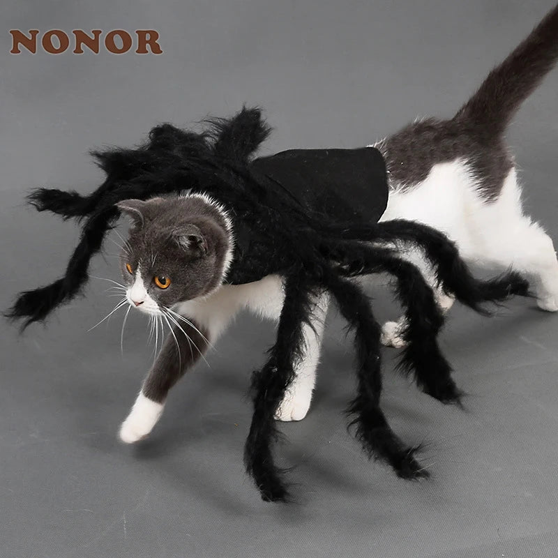 Spooky Halloween Spider Costume for Dogs & Cats