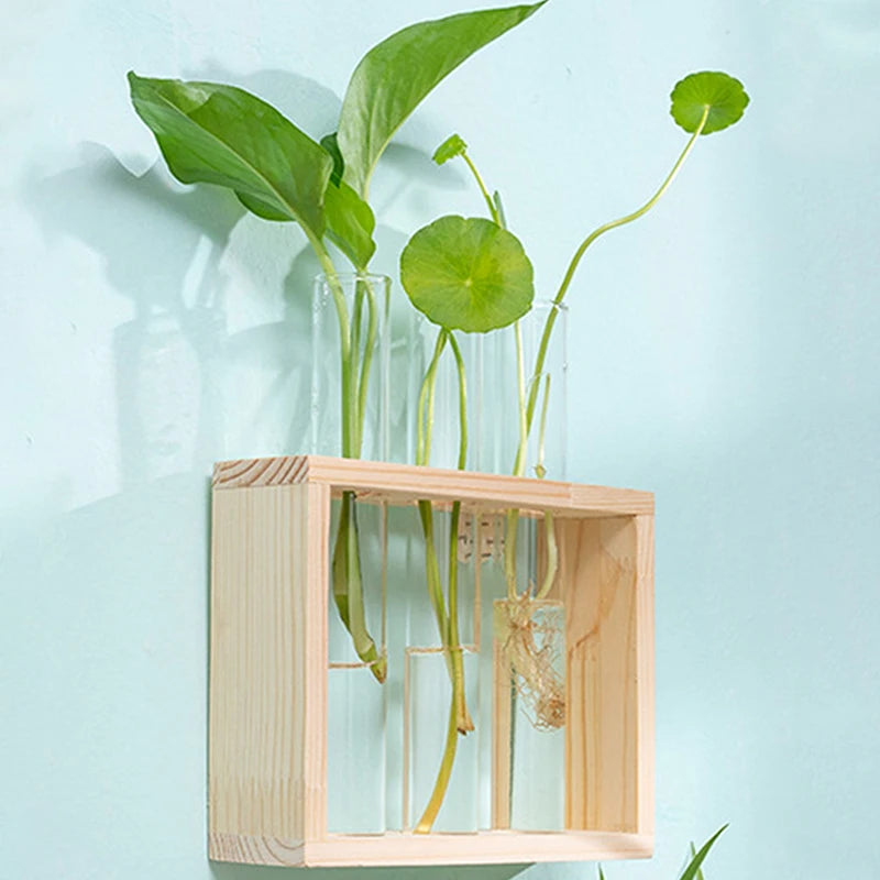 1 Set Hydroponic Plant Glass Test Tube Vase with Wooden Frame – Perfect for Desktop, Home, or Office Decor