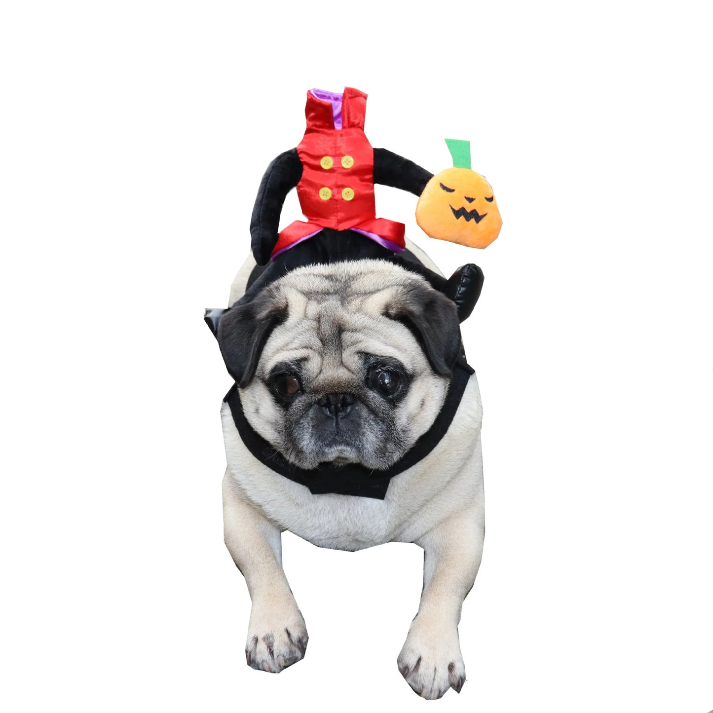 Funny Halloween Dog Costume – Headless Man Ride-On for Dogs