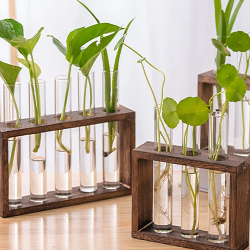 1 Set Hydroponic Plant Glass Test Tube Vase with Wooden Frame – Perfect for Desktop, Home, or Office Decor